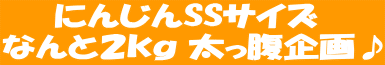 �ɂ񂶂�SS�T�C�Y 
�Ȃ�ƂQ���� ����������

