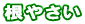 ���₳��
